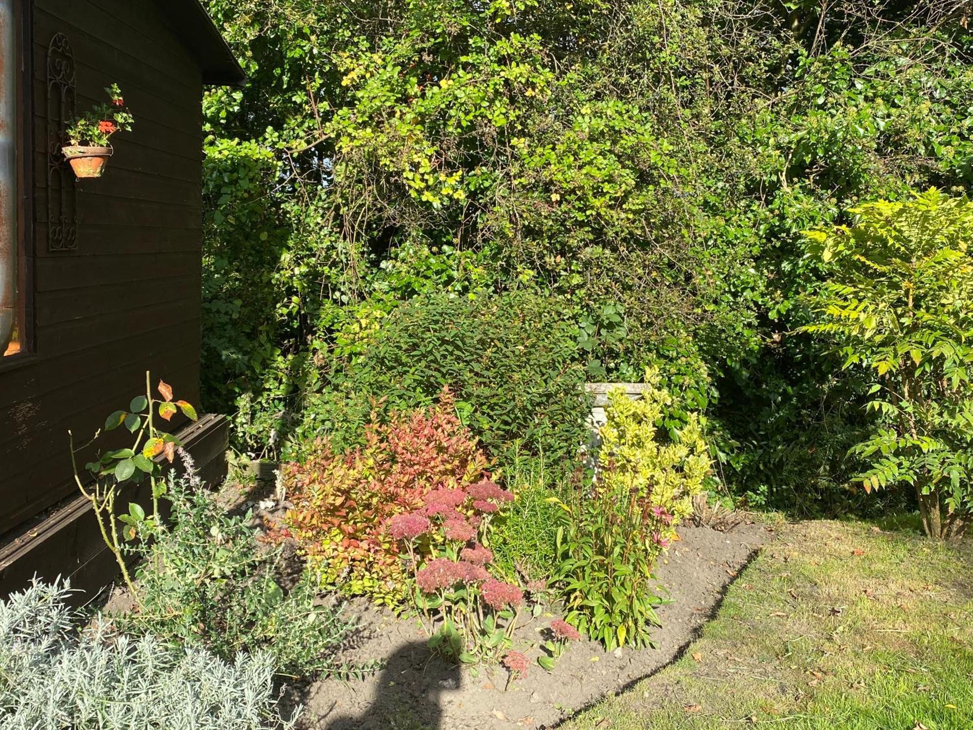 Honeysuckle Cottage Dorchester Esterno foto